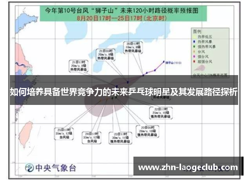 如何培养具备世界竞争力的未来乒乓球明星及其发展路径探析