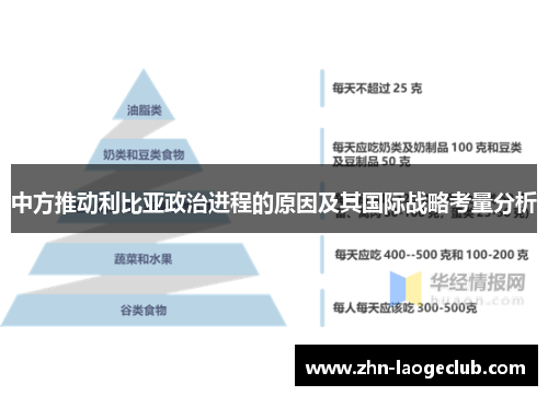 中方推动利比亚政治进程的原因及其国际战略考量分析