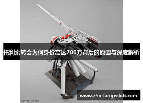 托利索转会为何身价高达700万背后的原因与深度解析 托利索转会为何身价高达700万背后的原因与深度解析